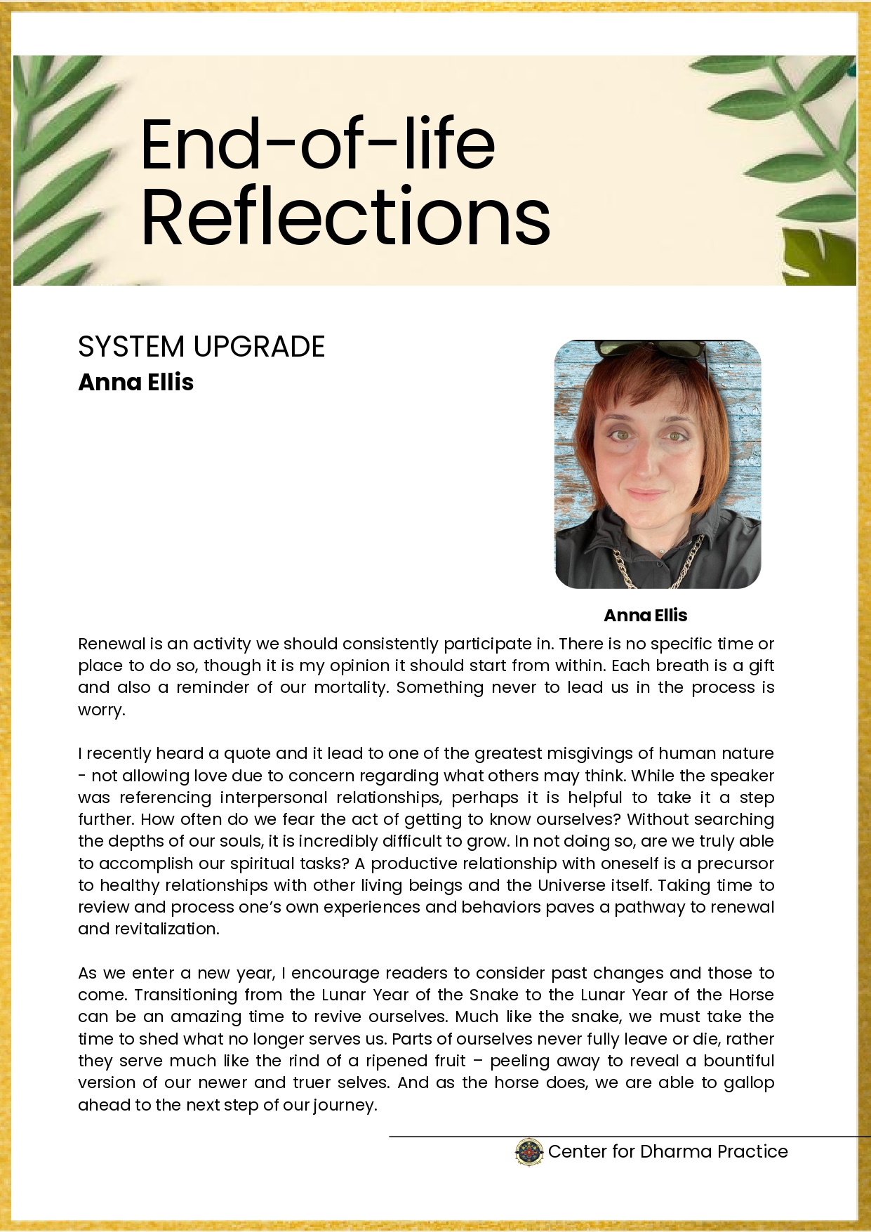 Dolma Newslatter 12_page-0015