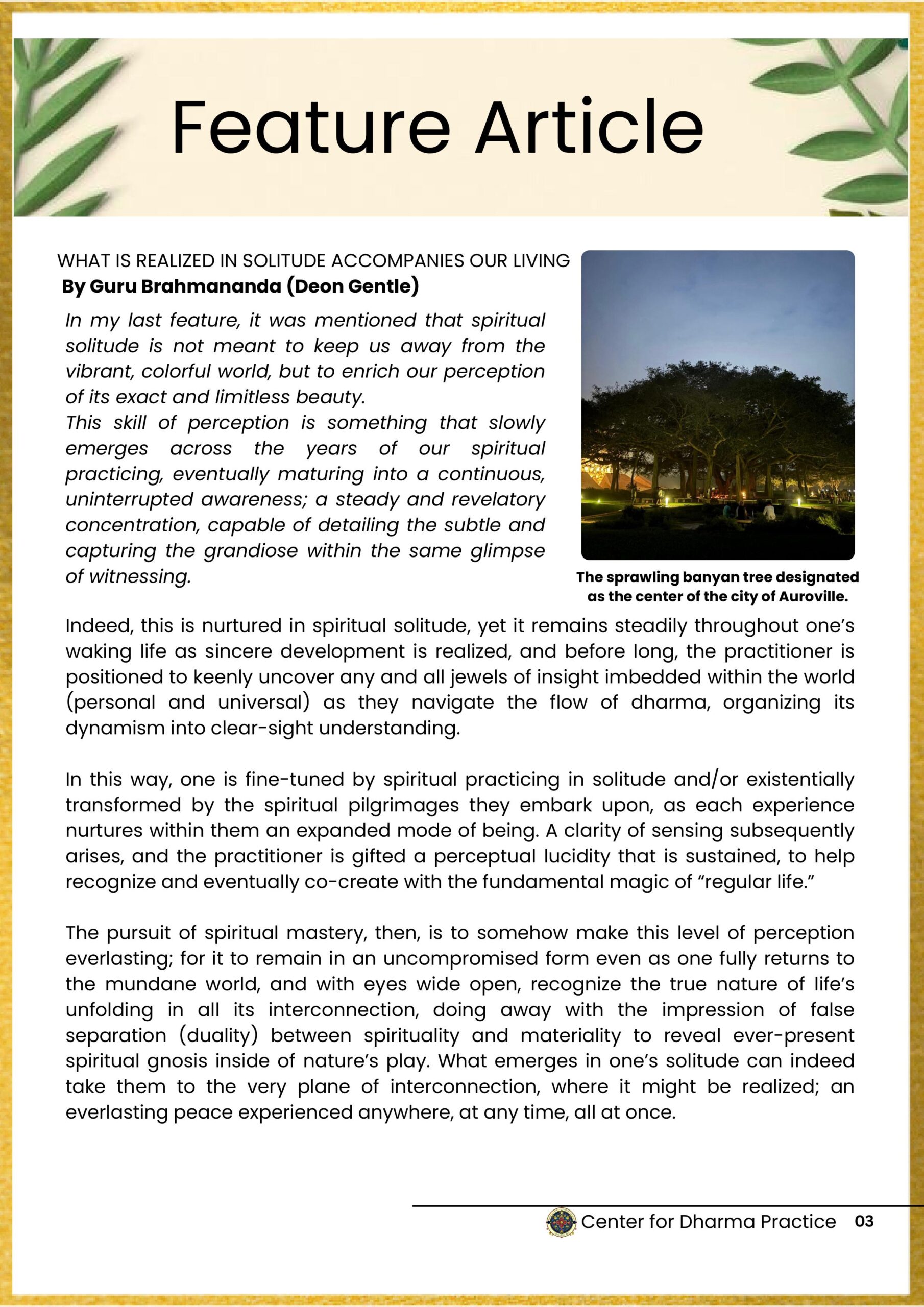 Dolma 16-images-2